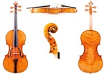 Violino 5